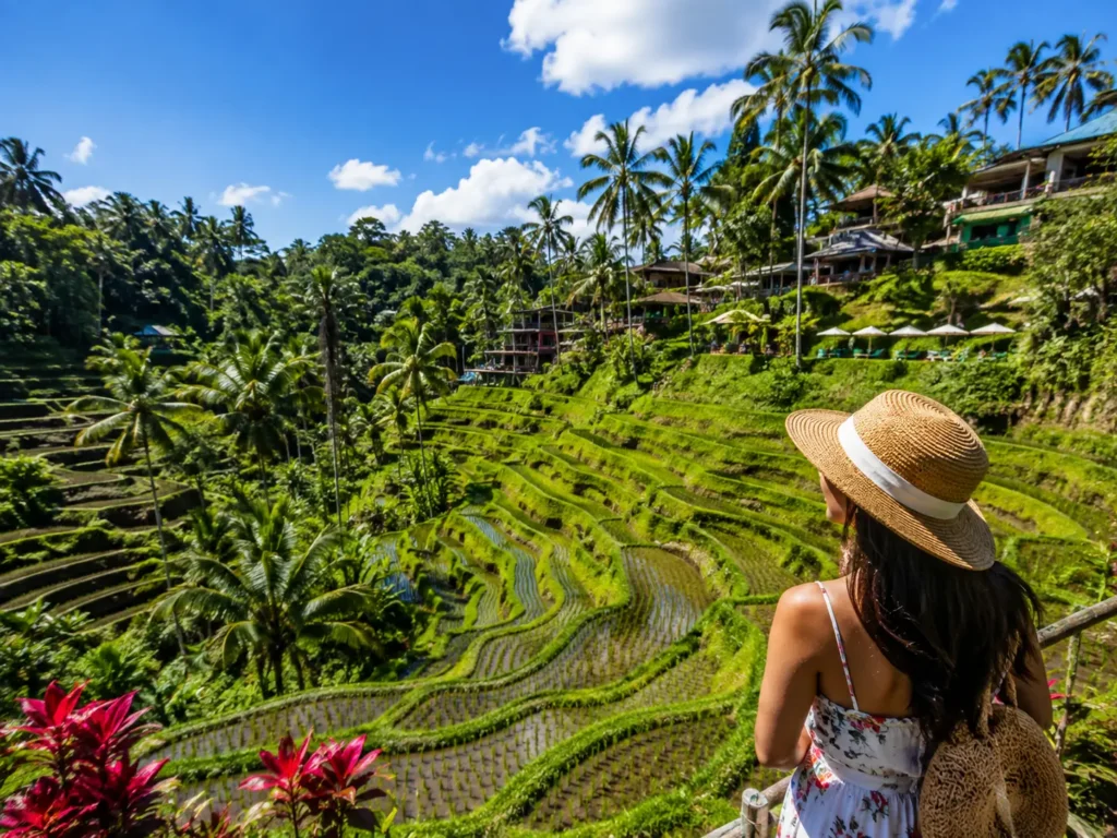 Tegalalang Rice Terrace Hero